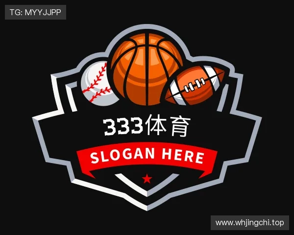 认识333体育